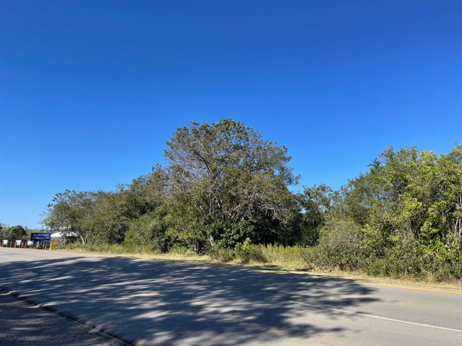 0 Bedroom Property for Sale in Bathurst Eastern Cape
